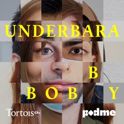 Underbara Bobby — Världens mest avancerade catfishing-fall