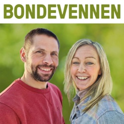 Bondevennen