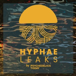 Hyphae Leaks