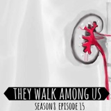 Season 8 - Episode 15