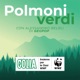 Polmoni Verdi