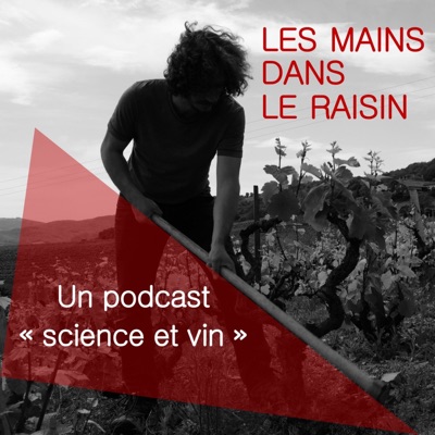 Les mains dans le raisin - un podcast "science et vin":Les mains dans le raisin