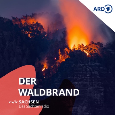 Der Waldbrand – wenn die Natur in Flammen steht