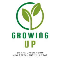 Growing Up in the Upper Room - New Testament Bible in a year