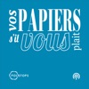 Vos papiers s'il vous plait! artwork