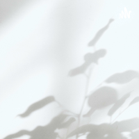White Noise podcast