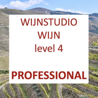 Wijn Professional – Wijnstudio level 4:Jeroen Bronkhorst
