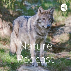 Nature Podcast