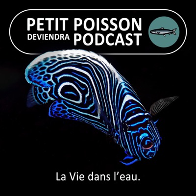 Petit Poisson deviendra Podcast Petit Poisson deviendra Podcast