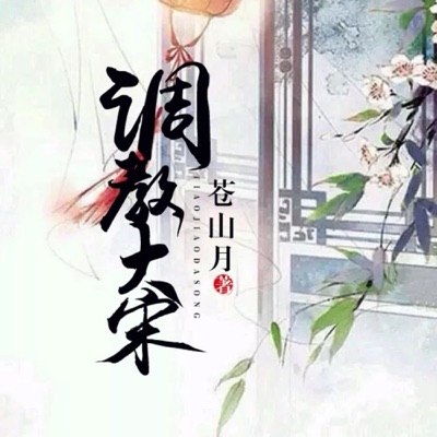 调教大宋