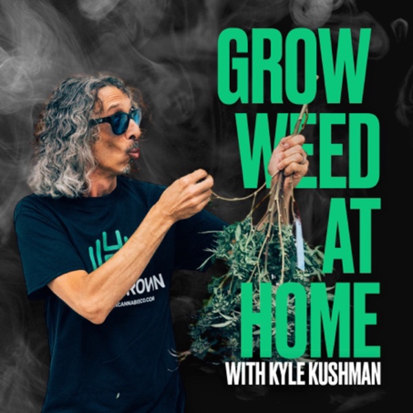 Grow Weed at Home with Homegrown Cannabis Co.