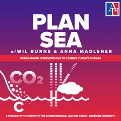 Plan Sea: Ocean Interventions to Address Climate Change