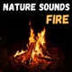 Campfire Ambiance - 10 Hours for Sleep, Meditation, & Relaxation