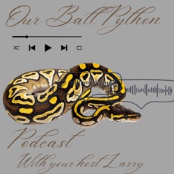 Introduction to Our Ball Python