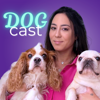DogCast - Tudo Sobre Cachorros (por Halina Medina)