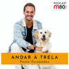 M80 - Andar à Trela - Paulo Fernandes