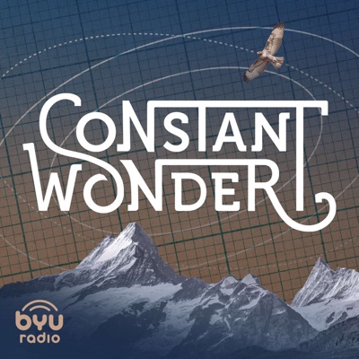 Constant Wonder Constant Wonder