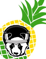 The Reel Pineapple