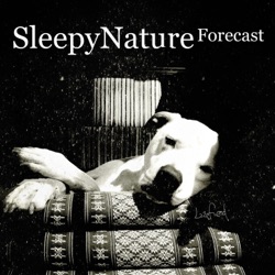 Sleepy Nature Forecast 
