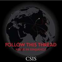 Follow This Thread: Made in Xinjiang? podcast