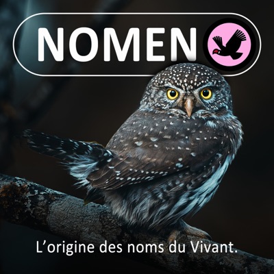 Nomen (Baleine sous Grav... Étymologie)