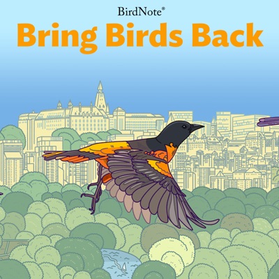 Bring Birds Back