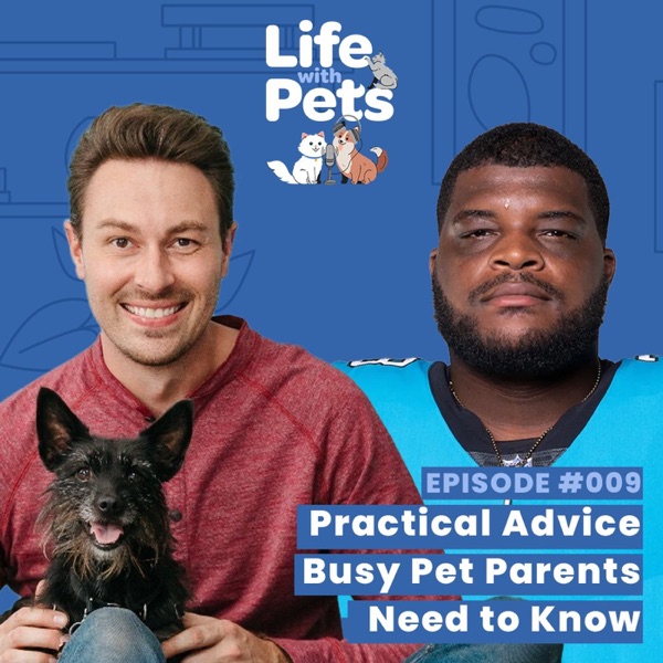 Practical Advice Busy Pet Parents Need to Know photo