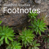 Buddhist Studies Footnotes - Frances Garrett