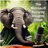The Microsoft Security Insights Show