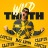 Wild Truth - Abstraction Media