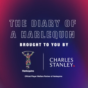 The Diary of a Harlequin