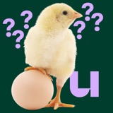 590. Wat was er eerst: de kip of het ei?