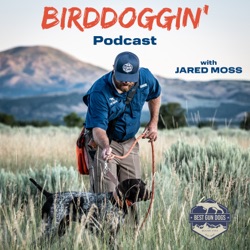 Choosing The Birddog Puppy That's Right For You