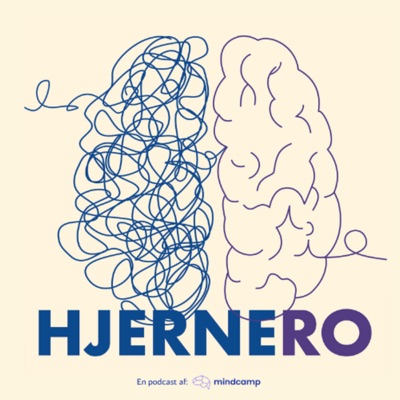 HjerneRO:Mindcamp