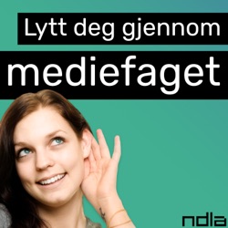 Skillelinjer i norsk mediepolitikk