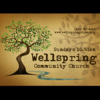 Wellspring Community Church weekly message - Wellspring Community Church, St. Joseph, Missouri