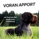 VORAN APPORT - ein Podcast über Jagdhundeausbildung