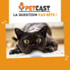 La question pas bête ! 🐾🧐 - La SPA