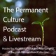The Permanent Culture Podcast