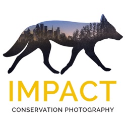 Finding Conservation Stories in Your Backyard: Interview with Mike Forsberg