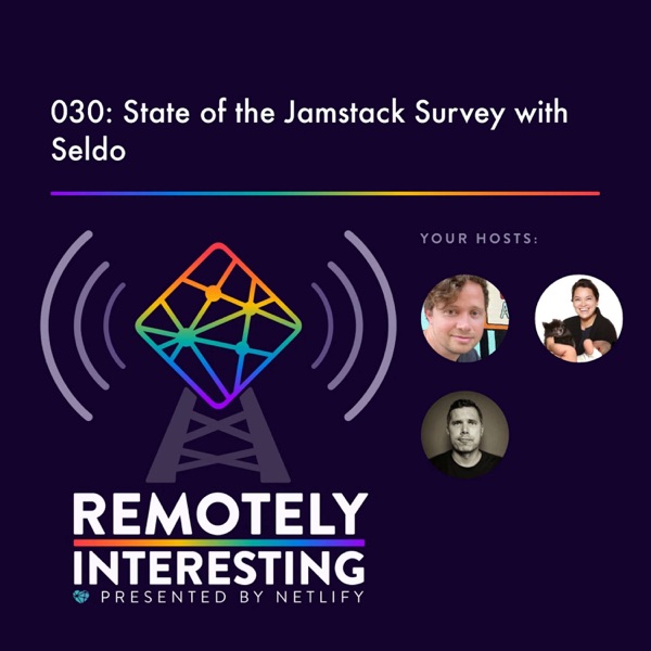 030: State of the Jamstack Survey with Seldo photo