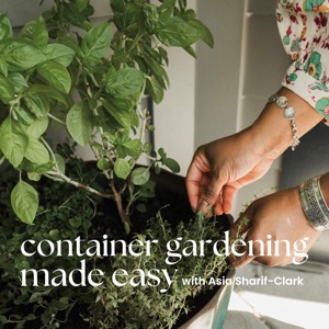 Container Gardening Made Easy