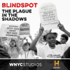 Blindspot - The HISTORY® Channel and WNYC Studios