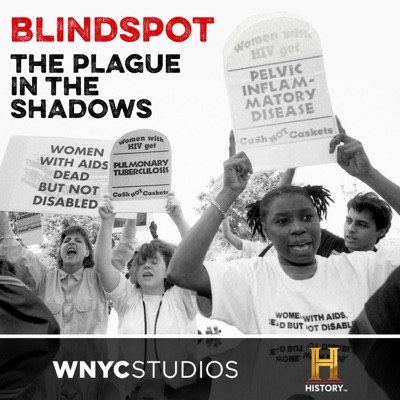 Blindspot:The HISTORY® Channel and WNYC Studios