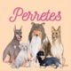 Ep72: Pekinés