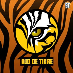 Ojo de Tigre por Solo tigres