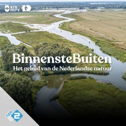 #1 - Het geluid van De Biesbosch