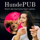 HundePUB: Wenn die Hormone feiern gehen 🪩🐶