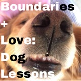Love and Boundaries: Dog Lessons