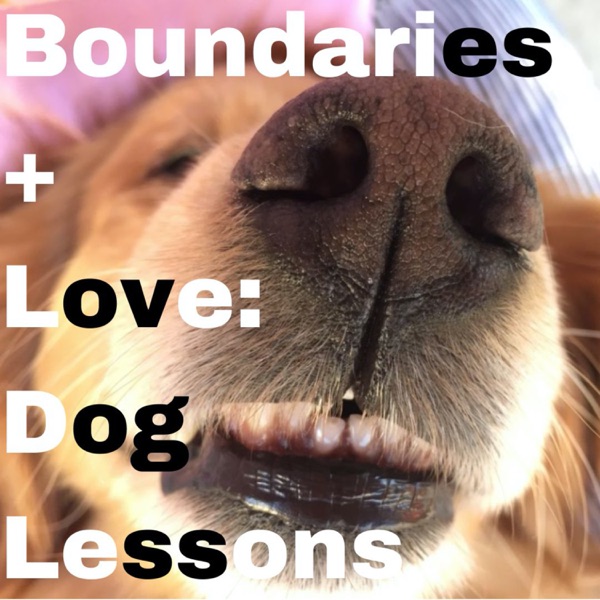 Love and Boundaries: Dog Lessons photo